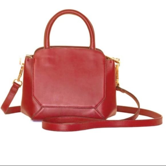 ARITZIA Auxiliary Red Leather Bega Satchel Bag
